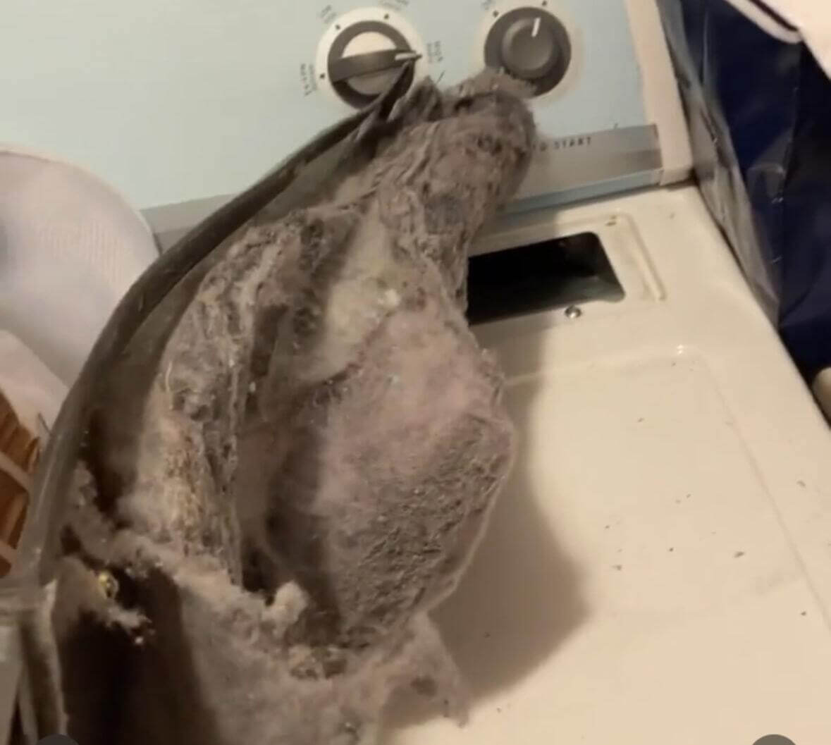 Professional Dryer Vent Cleaning