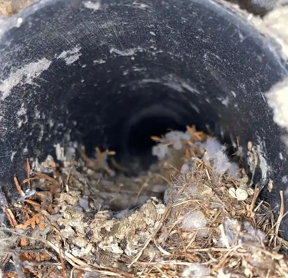 True Cost of Commercial Budget Dryer Vent Cleaning